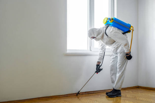 Best Real Estate Pest Inspections  in Whitewright, TX